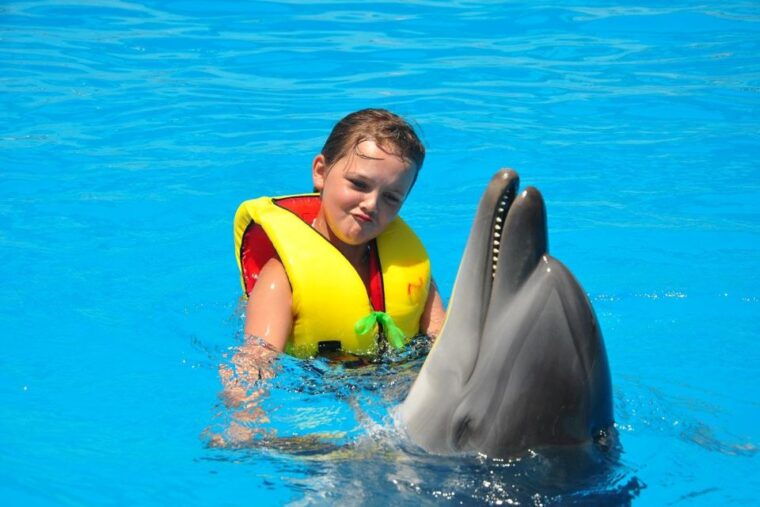 alanya-dolphin-and-seal-show-ticket-with-hotel-transfers