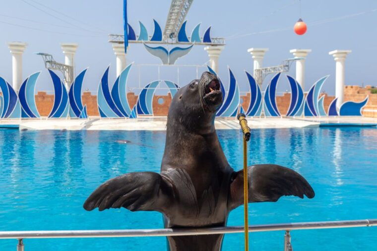 alanya-sealanya-dolphinpark-dolphin-show-tour