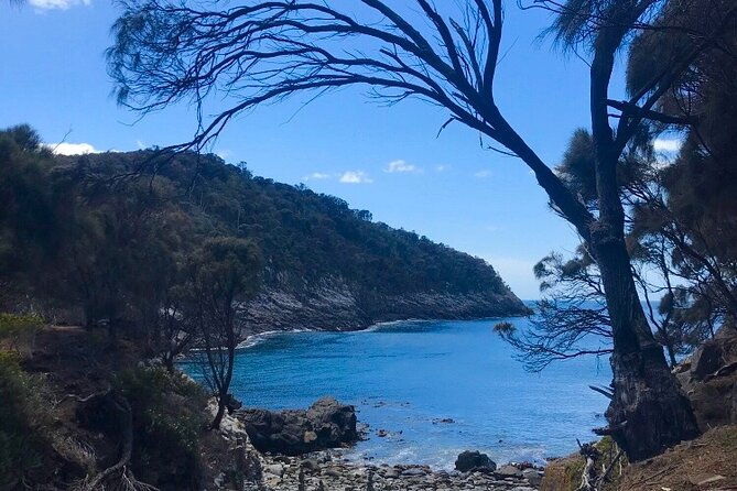 All inclusive Private Bruny Island Discovery Tour - FAQ