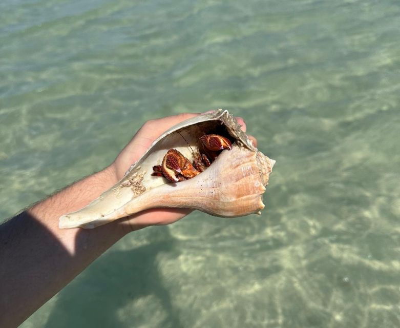 anna-maria-island-the-island-kayak-tour