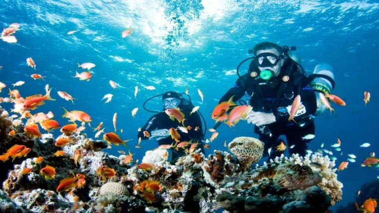antalya-belek-scuba-diving-tour-with-2-time-dive-lunch