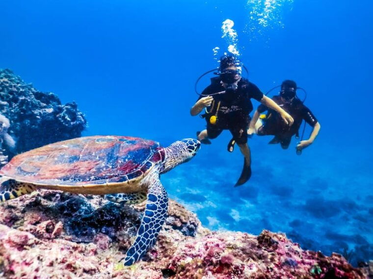 antalya-kemer-belek-scuba-diving-with-lunch-transfer