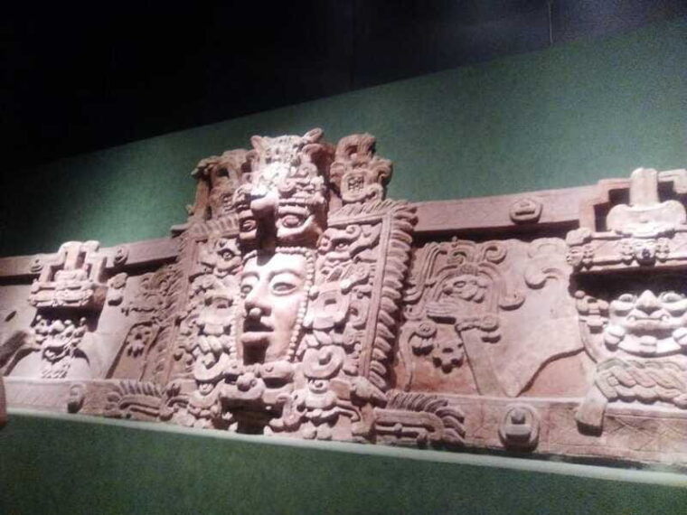 anthropology-museum-guided-tour