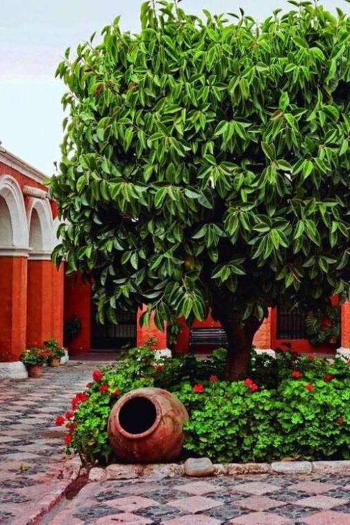 arequipa-city-tour-hidden-gems