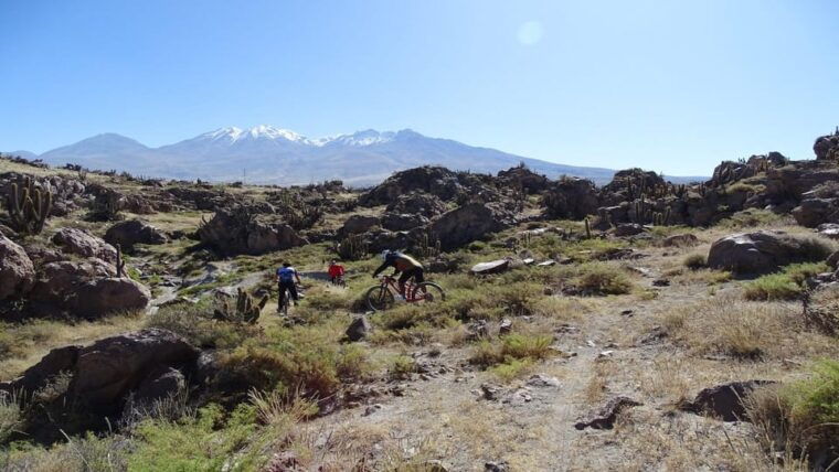 arequipa-the-rocks-park-and-chilina-valley-bike-tour