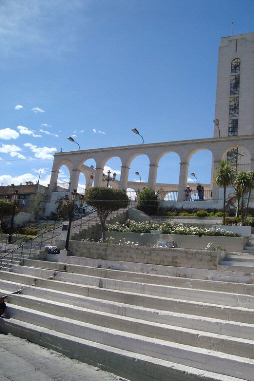 arequipa-tour-alpaca-world