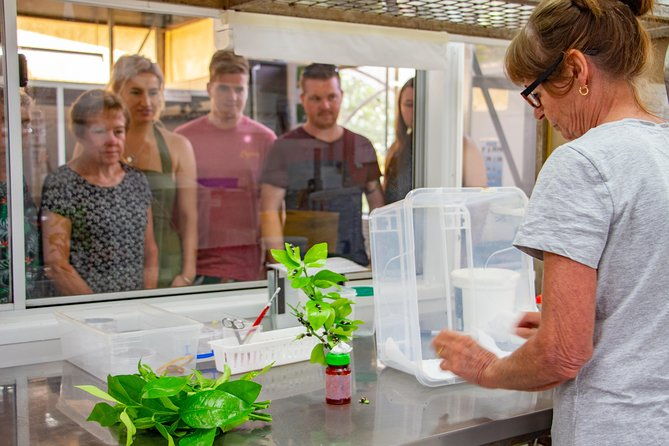 Australian Butterfly Sanctuary - FAQ