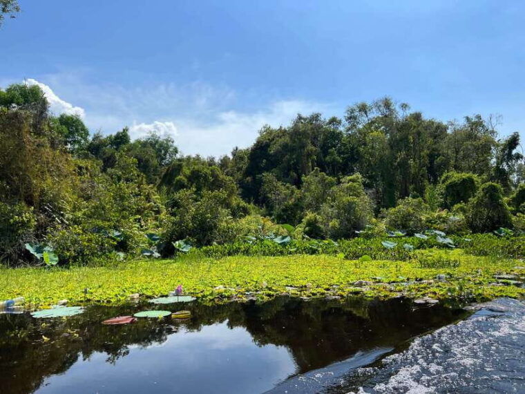 authentic-mekong-delta-private-tour-none-tourist-shopping