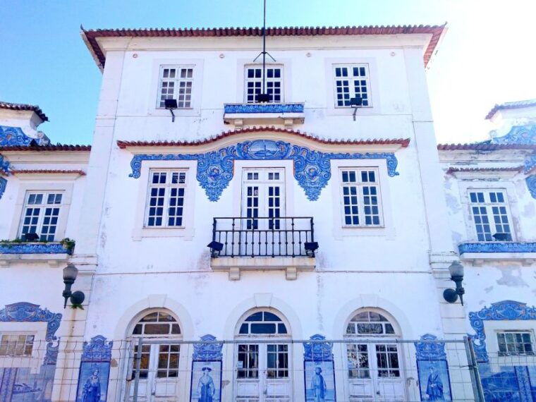 aveiro-half-day-tour-with-boat-ride