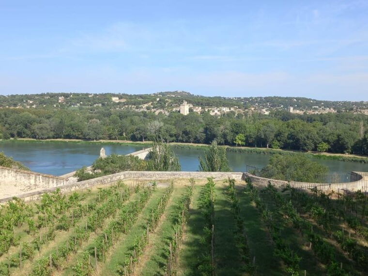avignon-city-walking-tour-with-popes-palace-entry