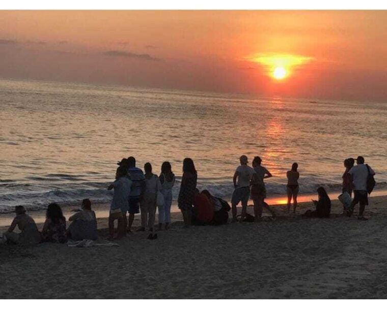 baby-sea-turtles-release-in-puerto-escondido