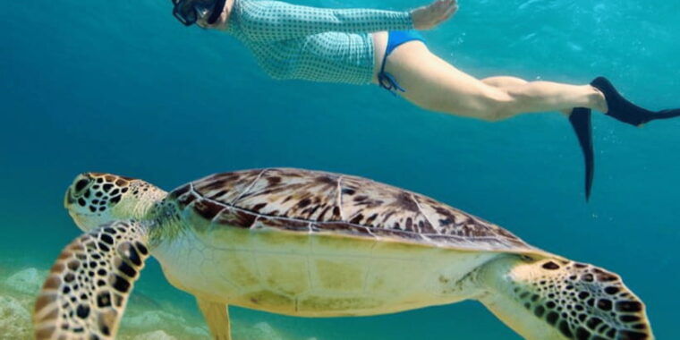 bali-3-day-private-gili-islands-snorkel-tour-with-hotel