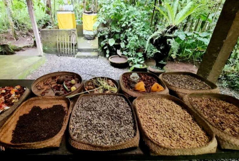 bali-agricultural-adventure-private-tour