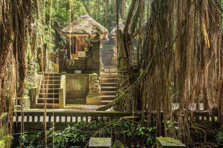 bali-atv-water-rafting-and-monkey-forest-tour