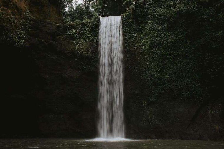 bali-best-waterfalls-rice-terrace-with-private-transfers