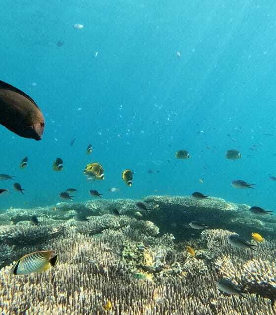 bali-blue-lagoon-and-tanjung-jepun-snorkeling-tour