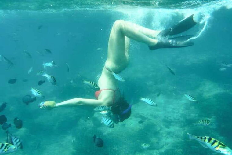 bali-blue-lagoon-snorkeling-tour-with-ayung-river-rafting