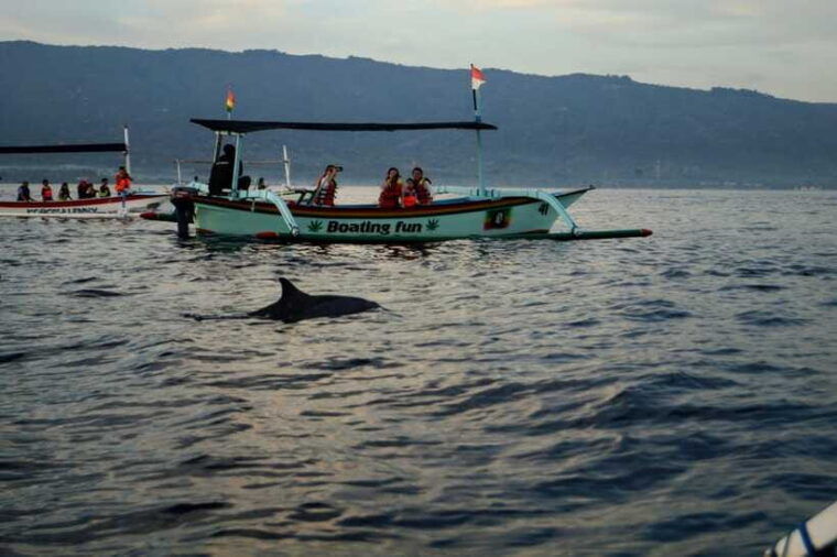 bali-dolphin-watching-sekumpul-waterfall-and-wanagiri