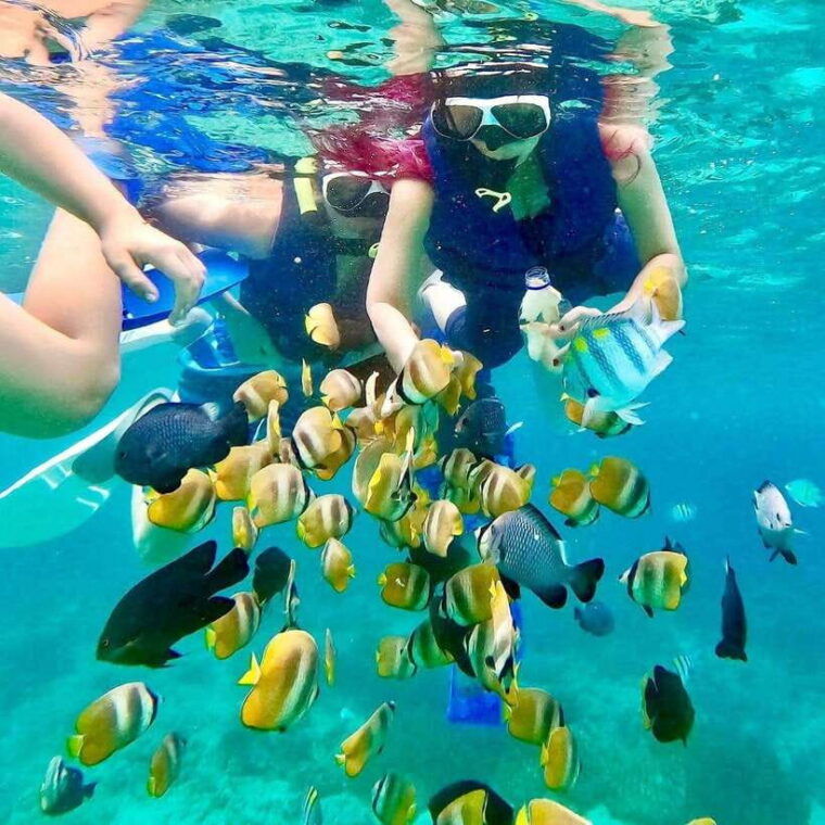 bali-east-bali-highlights-private-tour
