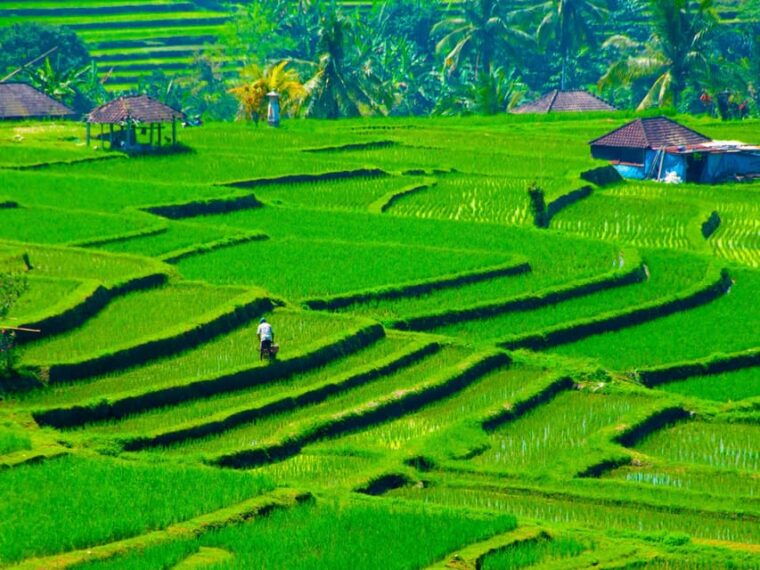 bali-family-friendly-tour-temple-botanical-park-unesco