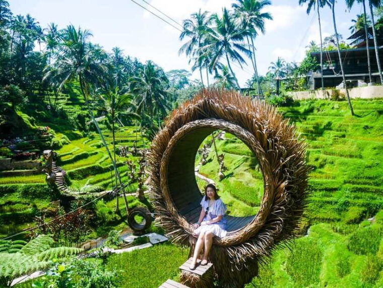 bali-kintamani-tegalalang-and-coffee-plantation-tour
