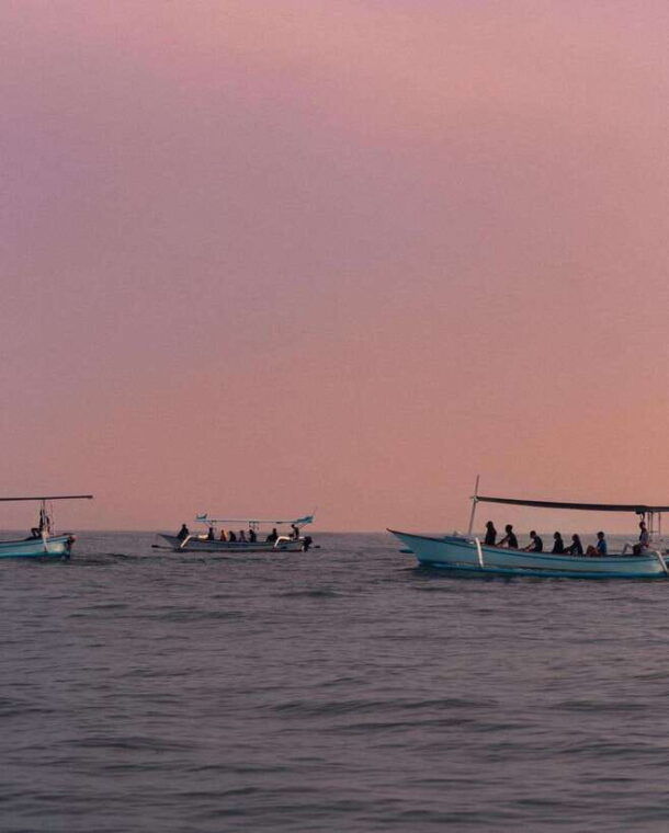 bali-lovina-dolphin-tour-watching-sunrise
