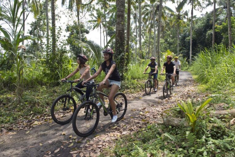 bali-mount-batur-mountain-biking-adventure-with-lunch