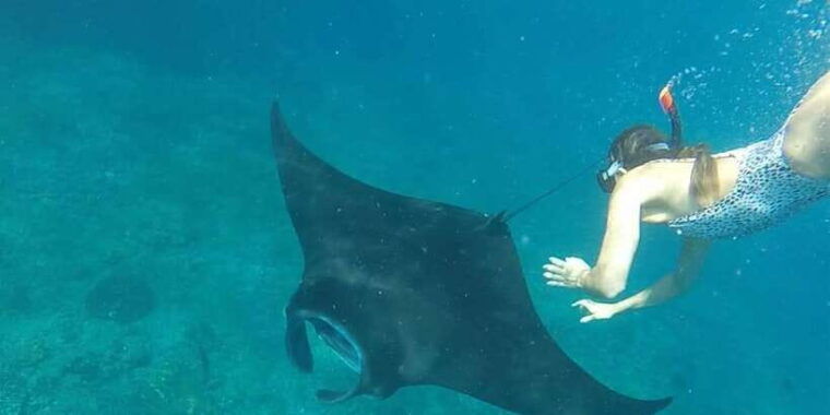 bali-nusa-penida-snorkeling-adventure-and-island-tour