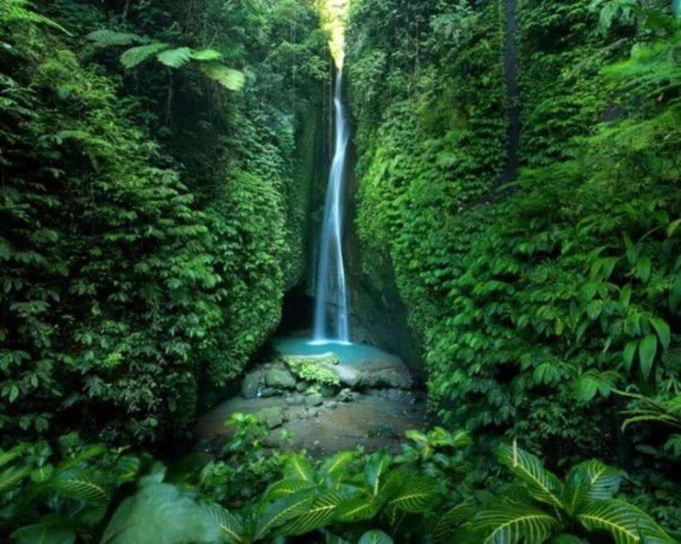bali-private-sightseeing-trip-north-bali-tour-with-transfer