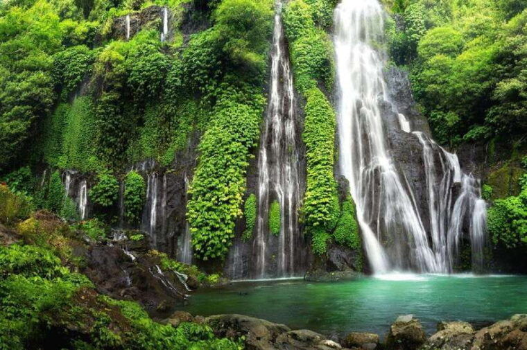 bali-private-ubud-highlights-tour-with-customized-tour