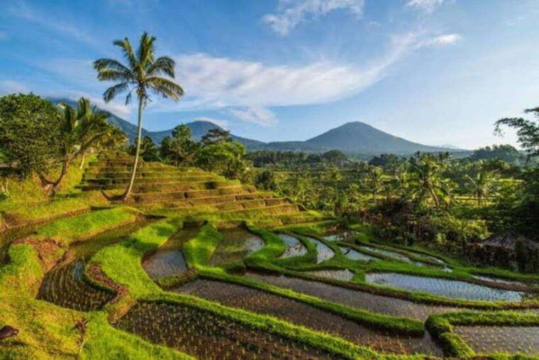 bali-private-unesco-world-heritage-sites-tour