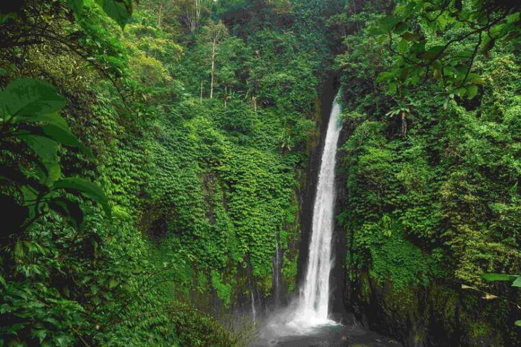 bali-private-waterfall-tour-with-lunch-and-hotel-pickup
