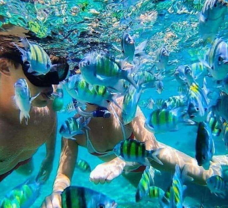 bali-snorkeling-at-two-spots-with-lunch-and-transport