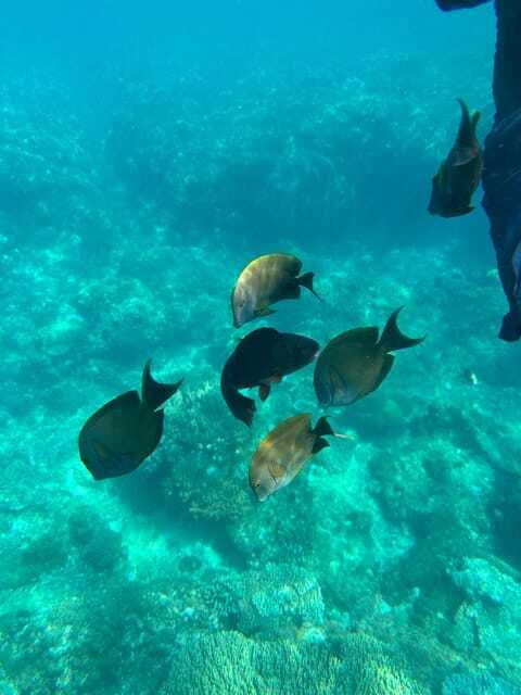 bali-snorkeling-blue-lagoon-and-tanjung-jepun-bali