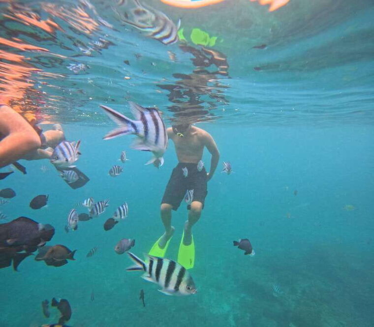 bali-snorkeling-experience-in-blue-lagoon-and-tanjung-jepun