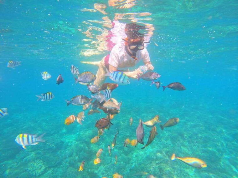 bali-snorkeling-waterfall-and-celuk-village-tour