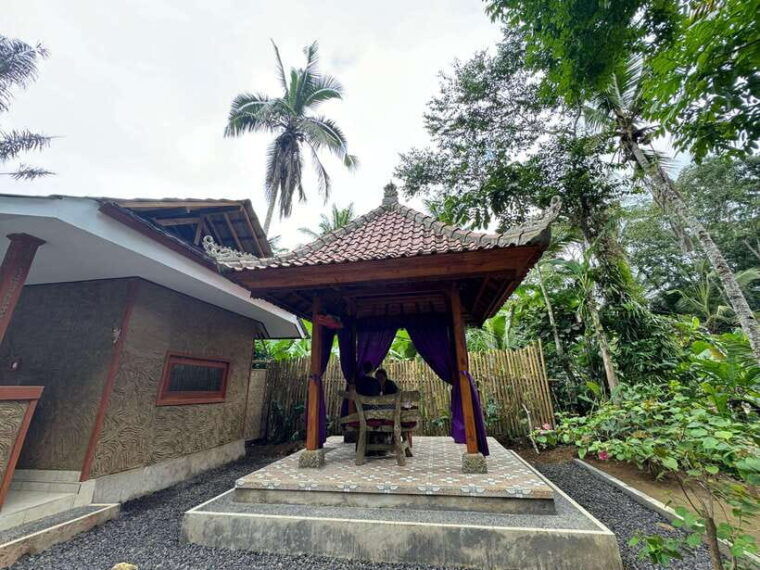 bali-temple-visit-with-palm-reader-purification-ceremony