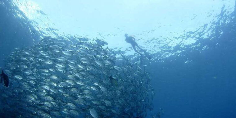 bali-tulamben-usat-liberty-wreck-scuba-diving