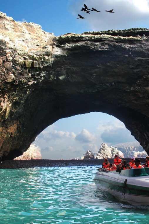 ballestas-islands-tour-2