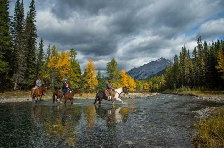 banff-4-hour-sulphur-mountain-intermediate-horseback-ride