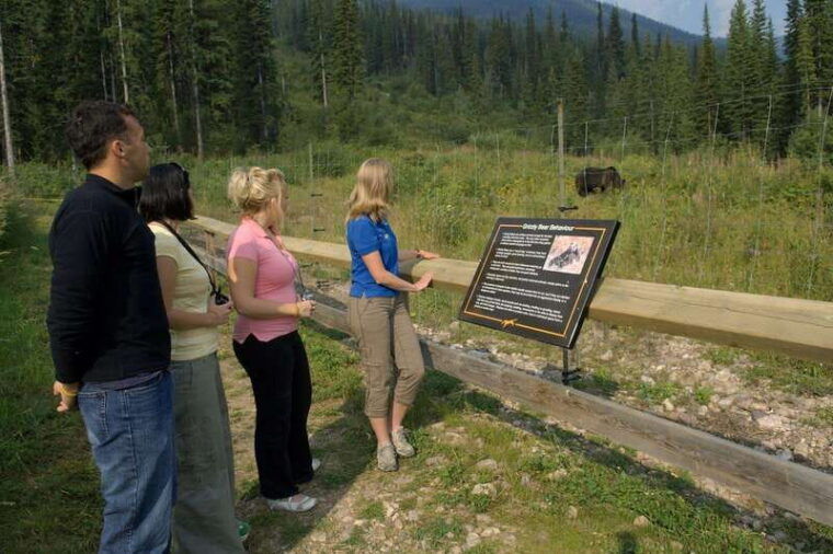 banff-edible-and-medicinal-plants-nature-walk