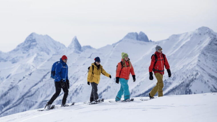 banff-national-park-sunshine-meadows-snowshoeing-experience
