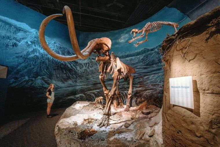 banff-private-badlands-tour-with-royal-tyrrell-museum