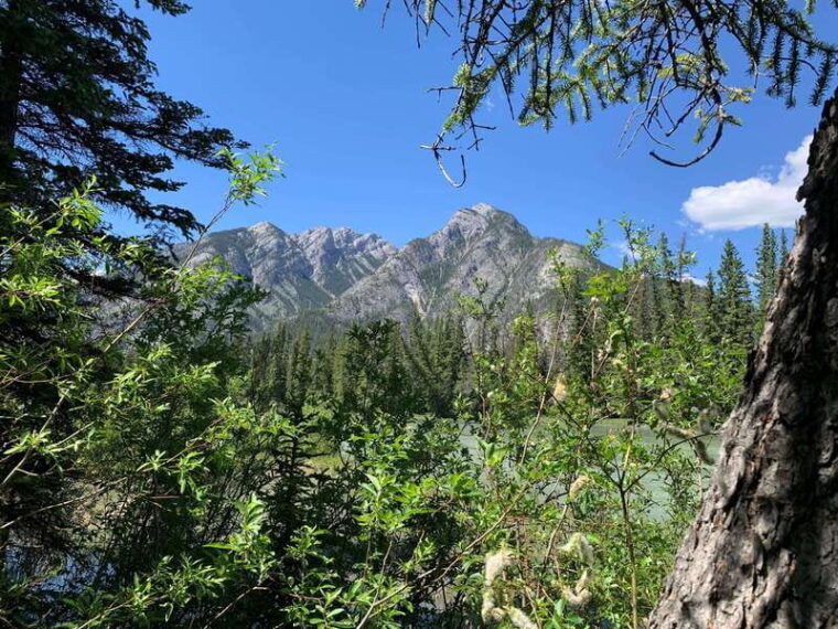 banff-private-guided-nature-walk-transportation-2-5h
