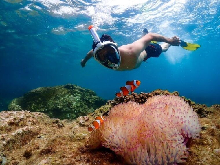bangkok-nemo-island-day-trip-with-drone-photos-and-lunch