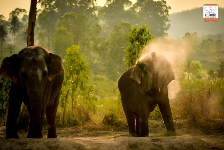 bangkok-pattaya-elephant-jungle-sanctuary-half-day-tour