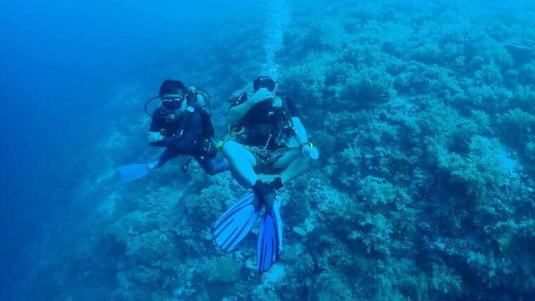 bantayan-island-discover-scuba-diving