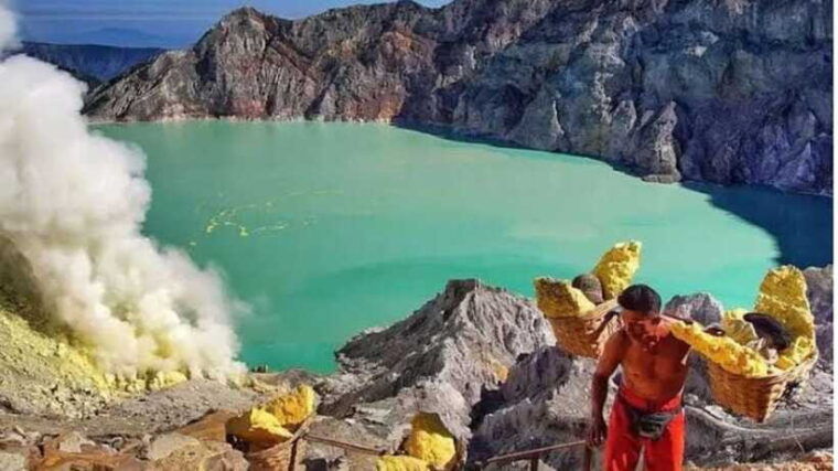 banyuwangi-2-day-adventure-with-baluran-national-park