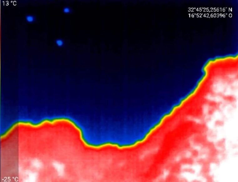 bat-watching-madeira
