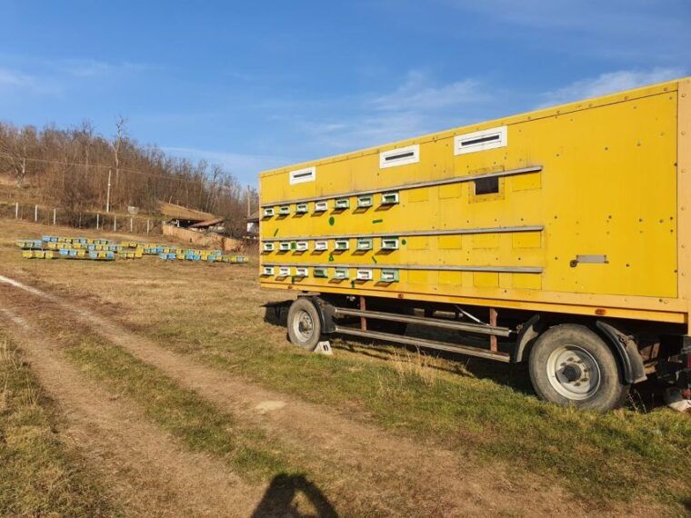 bees-in-romania-private-beekeeping-lesson-and-local-lunch